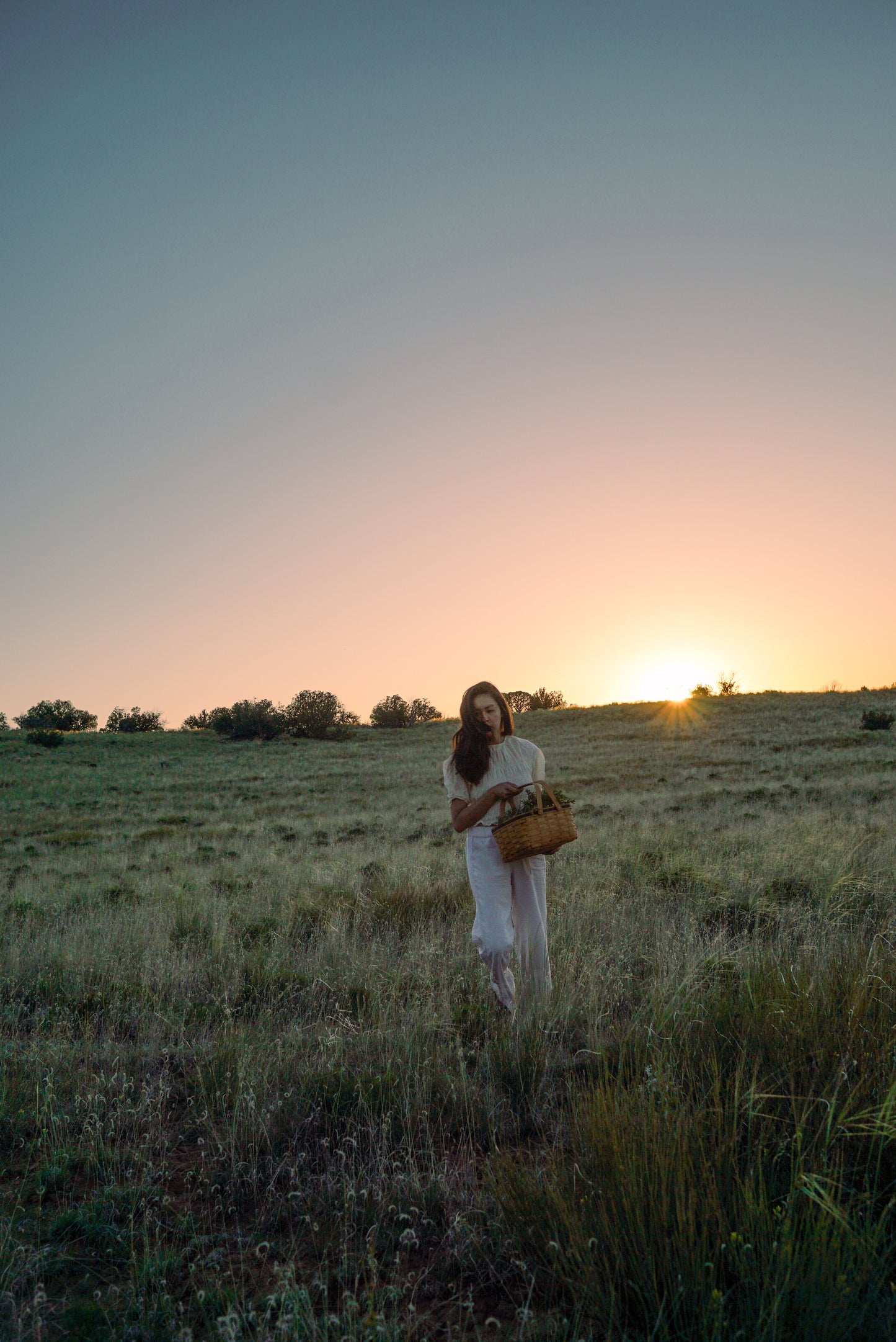 Calming Face & Body Oil Refill