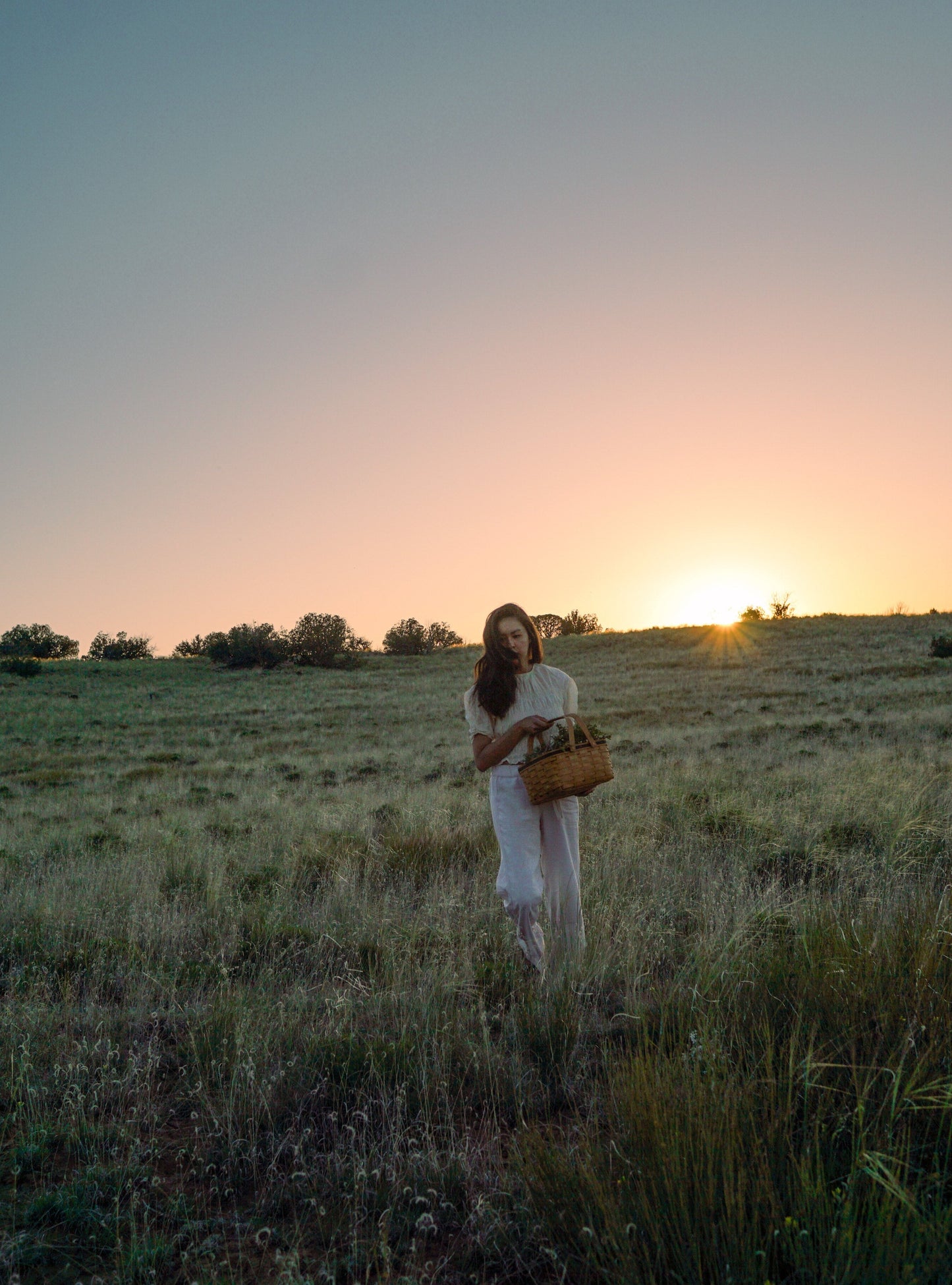 CALMING SALVE + FACE/BODY OIL BUNDLE