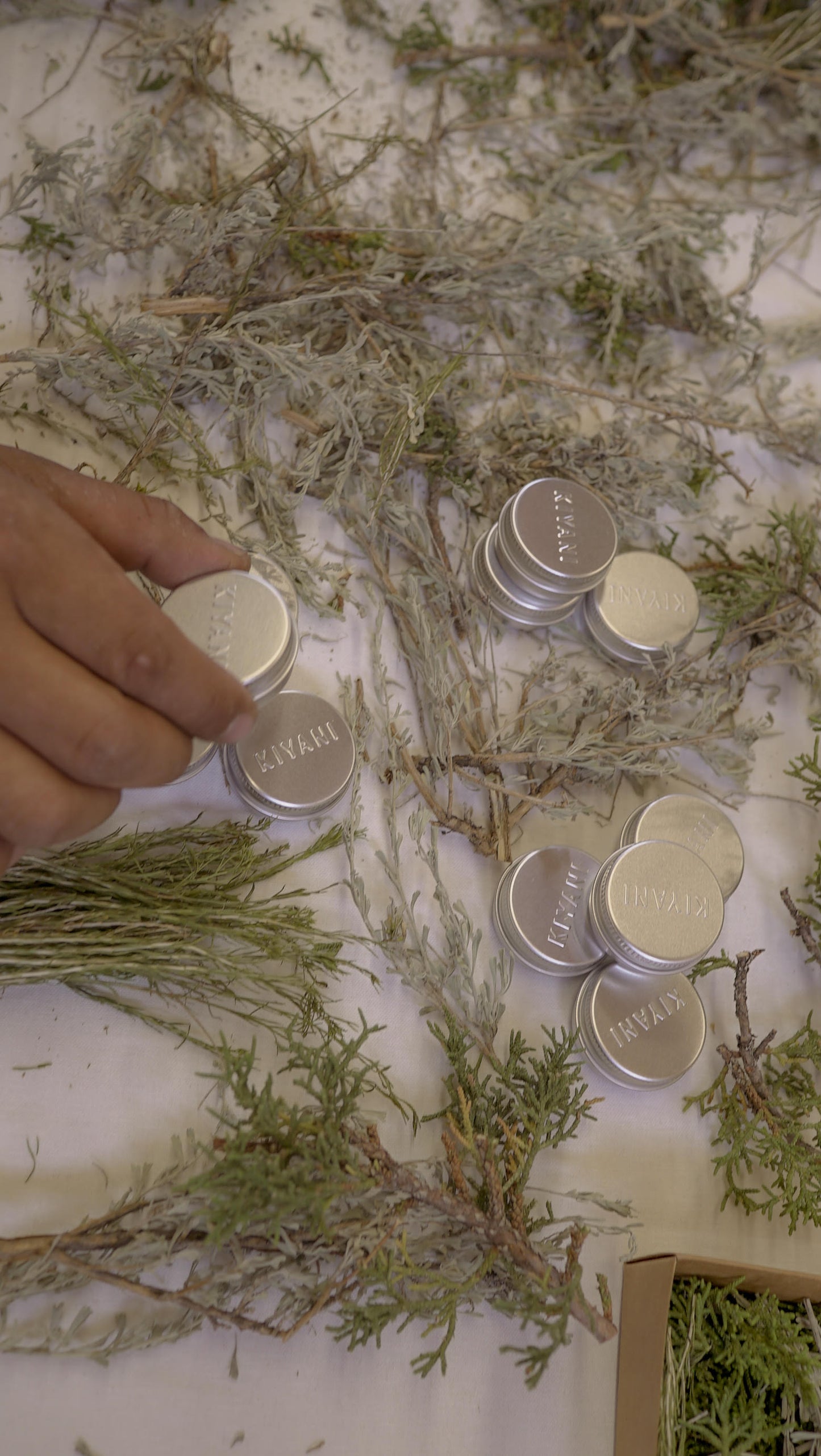 Calming Salve in Navajo Herbal Box